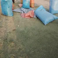 یونجه درجه یک خرمنکوب شده کیلوی ۳۸هزار تومان