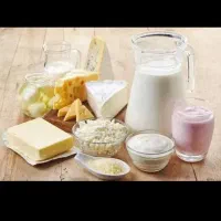 به یک فروشنده خانم در لبنیاتی نیازمندیم