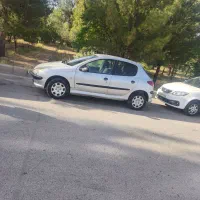 206 84نقره ای کم کار