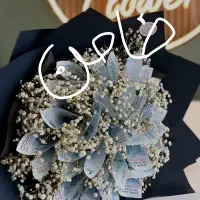 ضامن رتبه اعتباری A یا B وام مهربانی