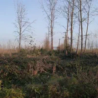 فروش زمین زیبا کنار