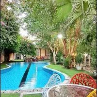 تور   جنوب وگیلان