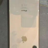XS Max 256G Gold