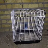 قفس پرنده نو و بسیار بزرگ