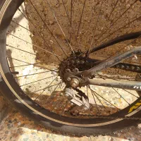 دوچرخه یکی 24و یکی 20|دوچرخه، اسکیت، اسکوتر|چمران, |دیوار