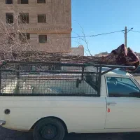 وانت بار زیر قیمت روزو نهال آلبالو گردو اخته زغال