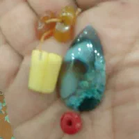 شجر بلندی سه سانت