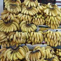 درخواست نیروی کار