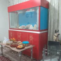 اکواریوم مخصوص سالن وتالار با تمام نجهیزات