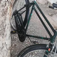 دوچرخه|دوچرخه، اسکیت، اسکوتر|نیشابور, فضل|دیوار