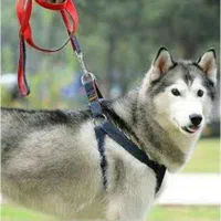 قلاده برزنتی