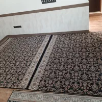 فرش 700شانه|فرش|کرمانشاه, |دیوار