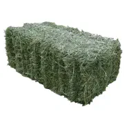 فروش یونجه