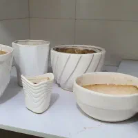 انواع گلدان با زیر گلدانی قیمت مناسب به مدت محدود