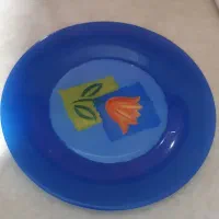 ظروف|ظروف سرو و پذیرایی|تهران, آرژانتین|دیوار