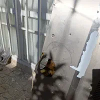 هود|هود|شیراز, شهرک بهار|دیوار