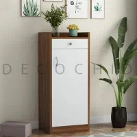 انواع جاکفشی|جاکفشی، کمد، دراور|رشت, باهنر|دیوار