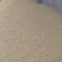 جو دیم بذری رقم سرارود