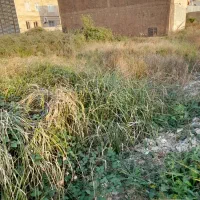 زمین در پاره بیجار|فروش زمین و ملک کلنگی|رشت, انصاری|دیوار