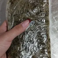سبزی