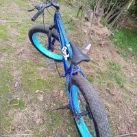 دوچرخه ساحلی