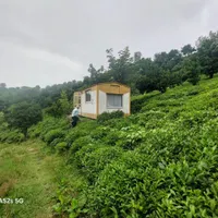 اجاره انبار سوله برای دام و طیور.... گلخانه|اجارهٔ دفتر صنعتی، کشاورزی، تجاری|املش, |دیوار