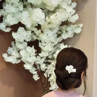 براشینگ شنیون