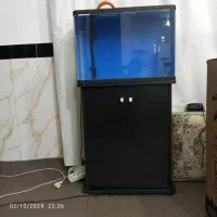 آکواریوم شیشه خم