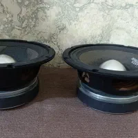 میدرنج سانتاکروز اورجینال|قطعات یدکی و لوازم جانبی|سلماس, |دیوار