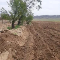 زمین-کشاورزی-در-سامن