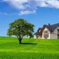 حواله..هایما ریرا 207