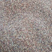 چلتوک شلتوک شلب