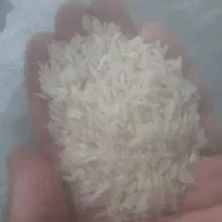 برنج فجر سوزنی|خوردنی و آشامیدنی|بندر ترکمن, |دیوار