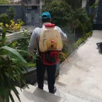 خدمات باغبانی سمپاشی هرسکاری سم سوسک سراسر تهران