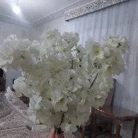 گل مصنوعی|گل مصنوعی|قزوین, |دیوار