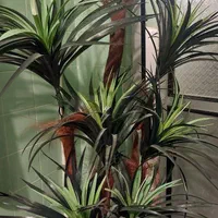 درخچه مصنوعی آناناس-آباژور-قاب تابلو