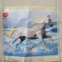 دار قالی با نخ تارو پود و کلیه لوازم