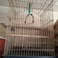 قفس بزرگ