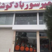 راننده سرویس