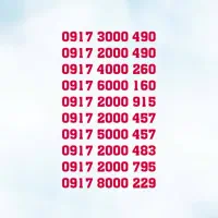 ۹۱۷.۲۰۰۰.۹۱۵