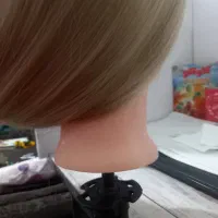 کله مانکن برای بافت و شینیون|آرایشگاه و سالنهای زیبایی|لنگرود, |دیوار