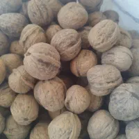 گردو...60کیلو