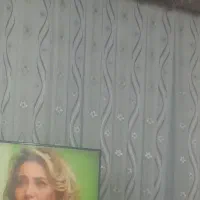 کتیبه ۵ متر ۷۰ سانت وپرده