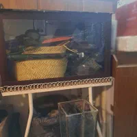 اکواریوم باپایه وکلبه|ماهی|اصفهان, مسجد مصلی|دیوار