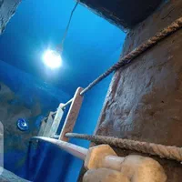 نظافت حوض انبار نشتی گیری حوض انبار ضمانت عمری|خدمات نظافت|چابهار, |دیوار