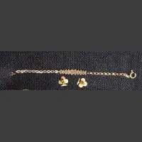 دستبند و گوشواره طلا|جواهرات|ری, علایین|دیوار