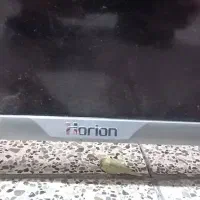 تلویزیون ال ای دی 55 اینچ HORION مدل H-55QU9105|تلویزیون و پروژکتور|ری, فیروزآبادی|دیوار