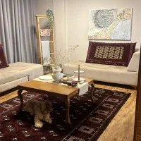 فروش 2 عدد پشتی دستبافت عتیقه