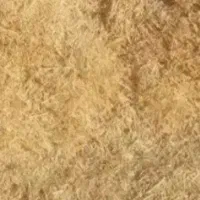 کاه دیم وطلا