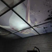 سقف کاذب دوقسمتی زیردوش و رختکن روی هم۴۵۰۰|مصالح و تجهیزات ساختمان|تهران, تولید دارو|دیوار